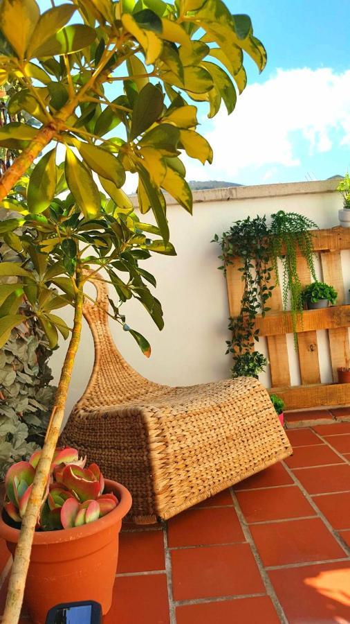 Апартаменты Atico En El Corazon De Santa Cruz/ Cozy Penthouse Экстерьер фото